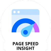 Page Speed Insight